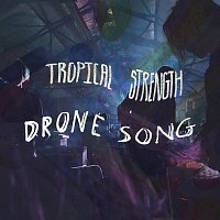 Přední strana obalu CD Drone Song