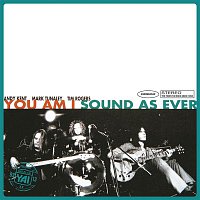 You Am I – Sound As Ever (Superunreal Edition)