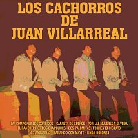 Los Cachorros De Juan Villarreal – Pa' Componer Los Corridos
