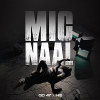 GD 47, H$ – Mic Naal