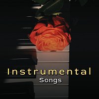 Různí interpreti – Instrumental Songs