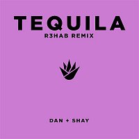 Dan + Shay – Tequila (R3HAB Remix)