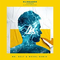 Klingande & Stevie Appleton – Sinner (Mr. Belt & Wezol Remix)