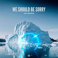 Axel Johansson – We Should Be Sorry