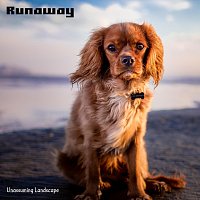 Unassuming Landscape – Runaway