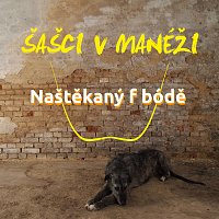 Naštěkaný f bódě