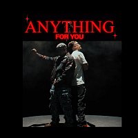 Přední strana obalu CD Anything For You