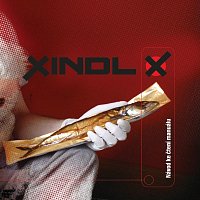 Xindl X – Návod ke čtení manuálu