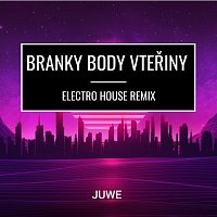 Juwe – Branky Body Vteřiny (Electro House Remix)