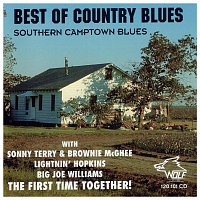 Různí interpreti – Best of Country Blues Southern Camptown Blues