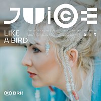 DJ Brk, Udoo – Like A Bird