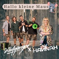 Přední strana obalu CD Hallo kleine Maus