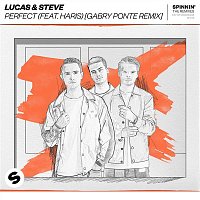 Lucas & Steve – Perfect (feat. Haris) [Gabry Ponte Remix]