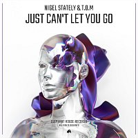 Just Can’t Let You Go