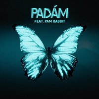 Slza, Pam Rabbit – Padám
