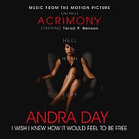 Andra Day – I Wish I Knew How It Would Feel to Be Free