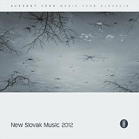Přední strana obalu CD New Slovak Music (Live)