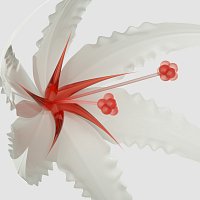 ANSIA, KOMPLEXX – ‘motions