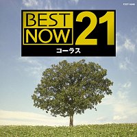 Různí interpreti – New Best Now 21 Chorus