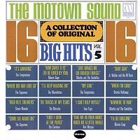 Různí interpreti – A Collection Of 16 Original Big Hits Vol. 5