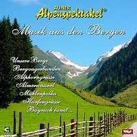 Auner Alpenspektakel, Engelbert Aschaber Harfe – Musik aus den Bergen