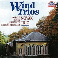 Mozart, Kramář, Dušek, Družecký: Dechová tria