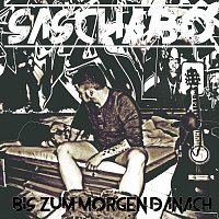 Sascha Bo – Bis zum Morgen danach