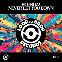 Přední strana obalu CD Never Let You Down