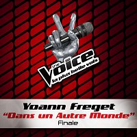 Yoann Freget – Dans Un Autre Monde - The Voice 2