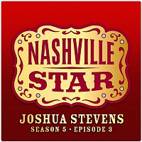 I Still Believe In You [Nashville Star Season 5 - Episode 3]