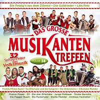 Různí interpreti – Das grosse Musikantentreffen - Folge 38