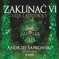 Přední strana obalu CD Zaklínač VI Veža lastovičky