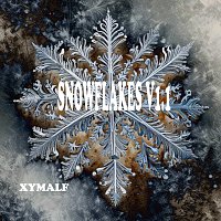 Přední strana obalu CD Snowflakes (V1.1)