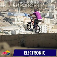 Přední strana obalu CD Enforcer V