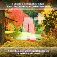 A+ Study Music: Music for Studying and Better Learning and Nature Sounds for Studying – A+ Study Music: Nature Sounds for Studying - Nature's Music for Studying and Easy Learning, Vol. 11
