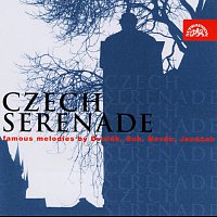 Různí interpreti – Česká serenáda - výběr CD