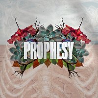 Prophesy [Live]