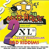 Přední strana obalu CD 2 Bad Riddims: The Stink and Medicine Riddims