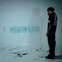 LEO2745 – REMORSOS