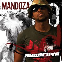 Mandoza – Ingwenya