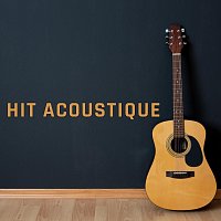 Různí interpreti – Hit Acoustique