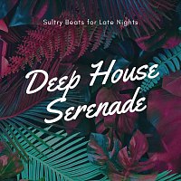 Různí interpreti – Deep House Serenade: Sultry Beats for Late Nights