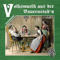 Různí interpreti – Volksmusik aus der Bauernstub’n – Folge 3