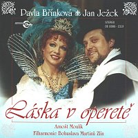 Pavla Břínková, Jan Ježek – Láska v operetě CD