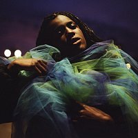 Přední strana obalu CD Abide In U