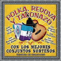 Various  Artists – Tesoros de Colección - Polka, Redova y Taconazo...Con los Mejores Conjuntos Nortenos