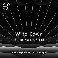 James Blake, Endel – Wind Down