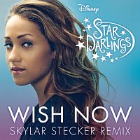 Wish Now [Skylar Stecker Remix]
