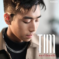 Tim – ????????????