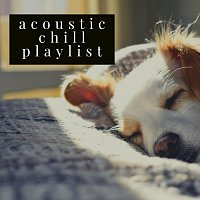 Přední strana obalu CD Acoustic Chill Playlist